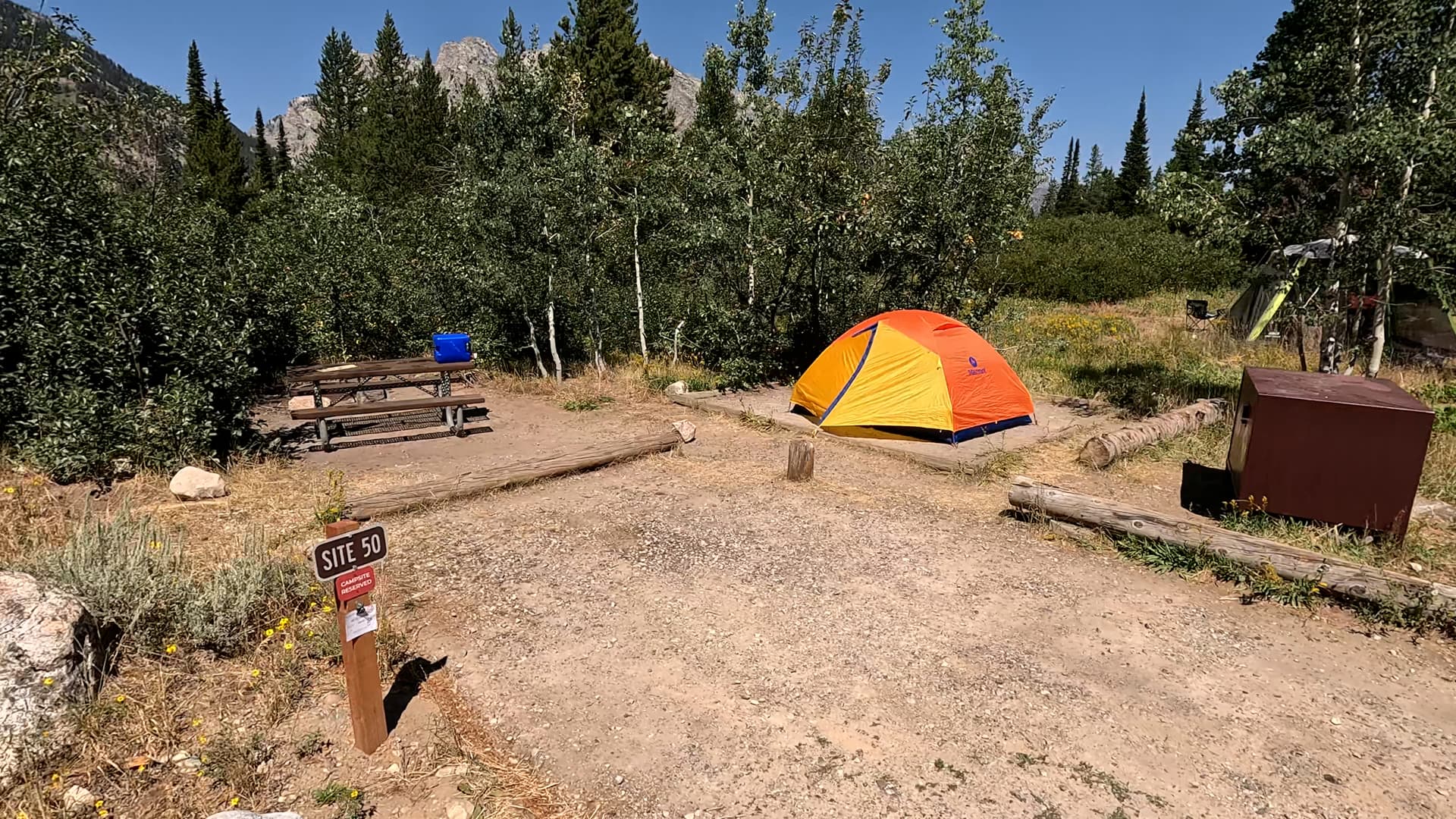 Site 50
