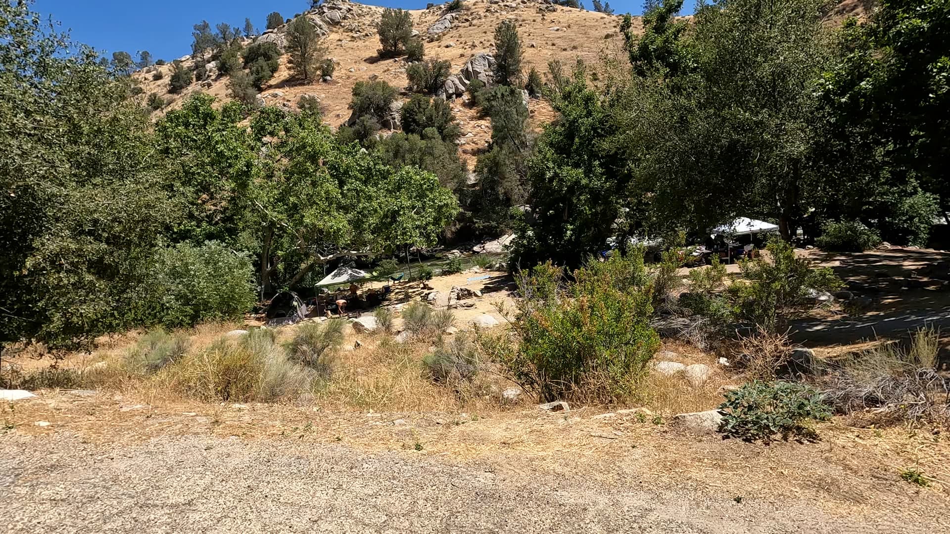 Site 1