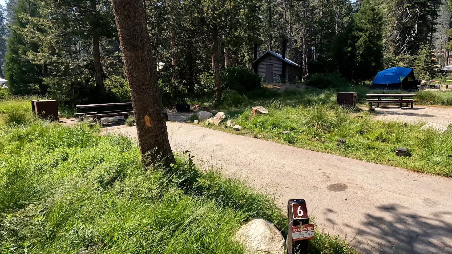 Site 6