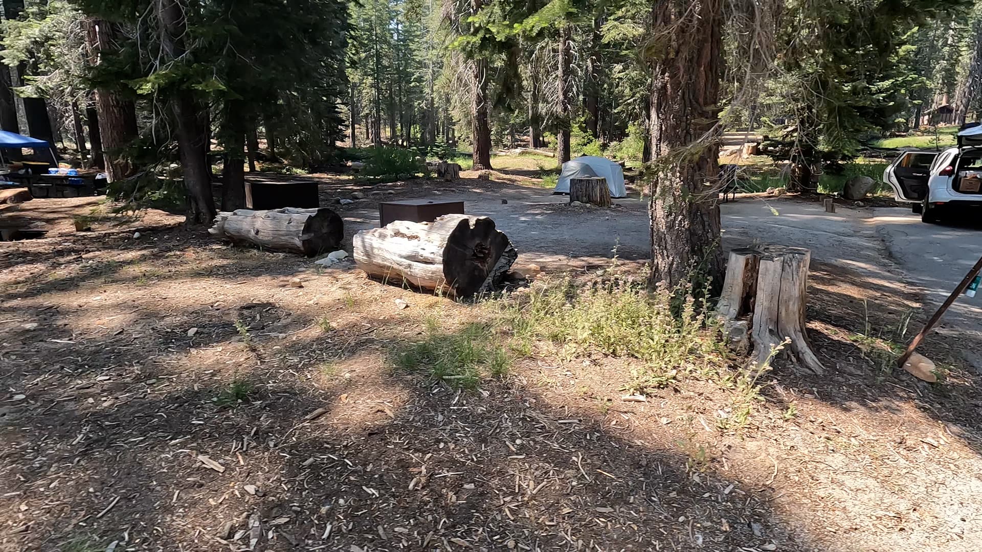 Site 6