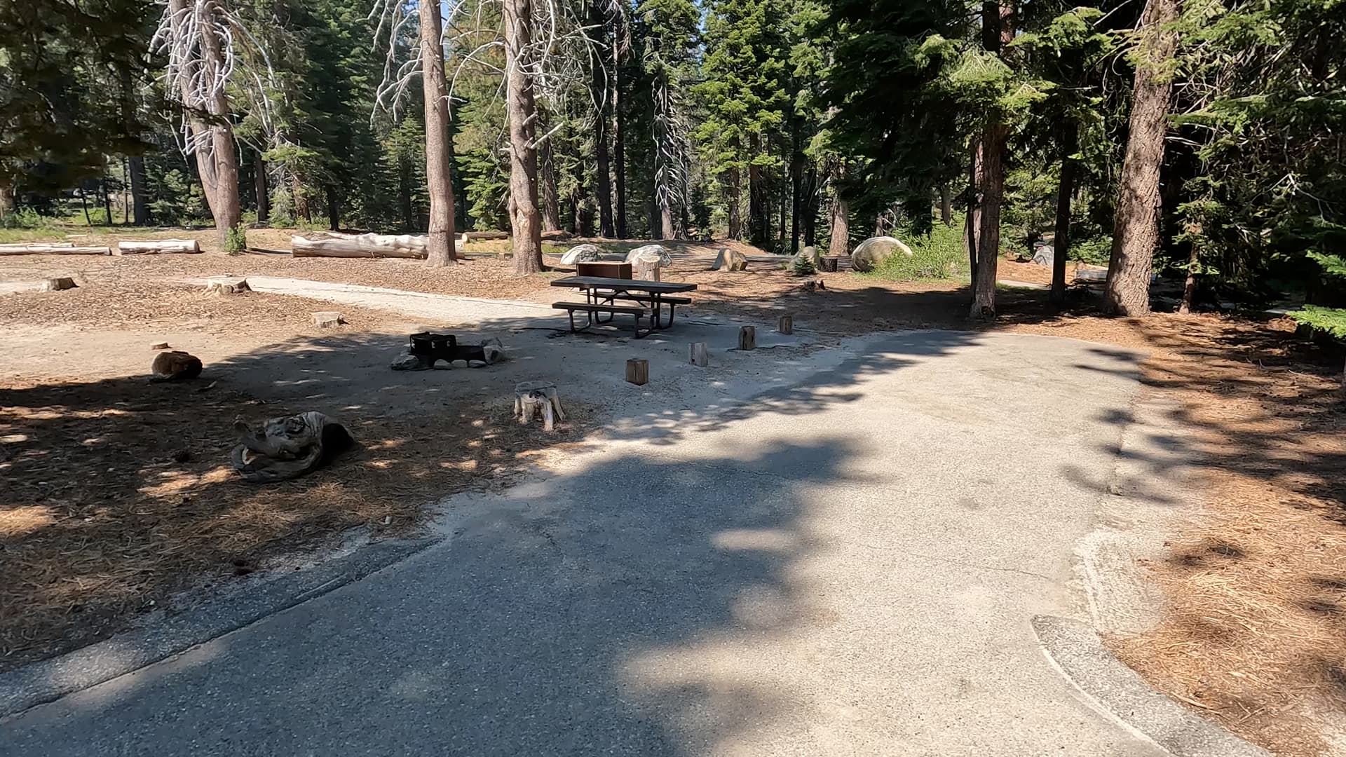 Site 25