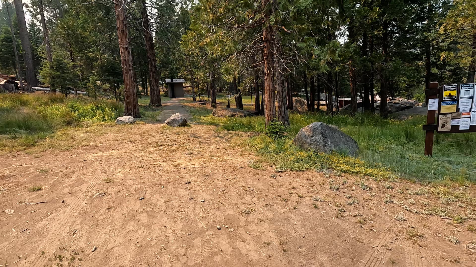 Site 9