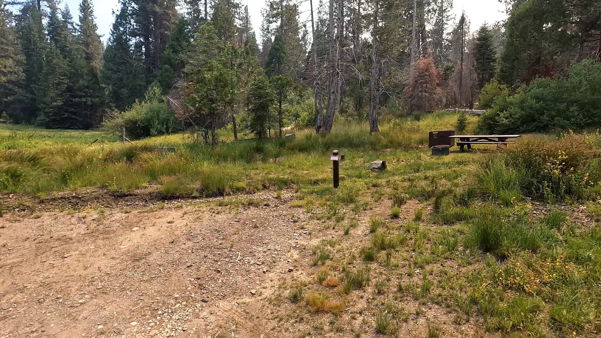 Site 7