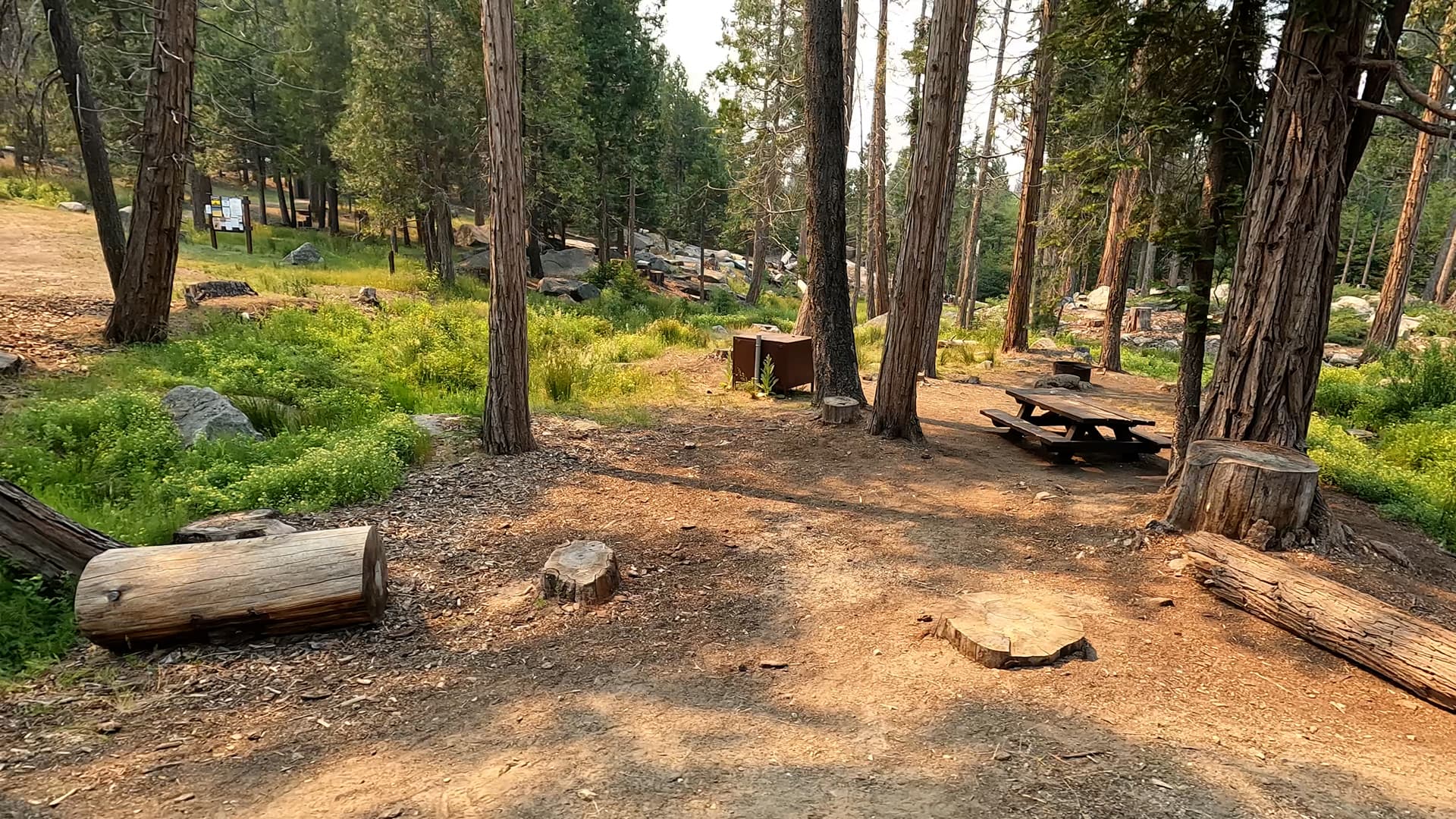Site 6