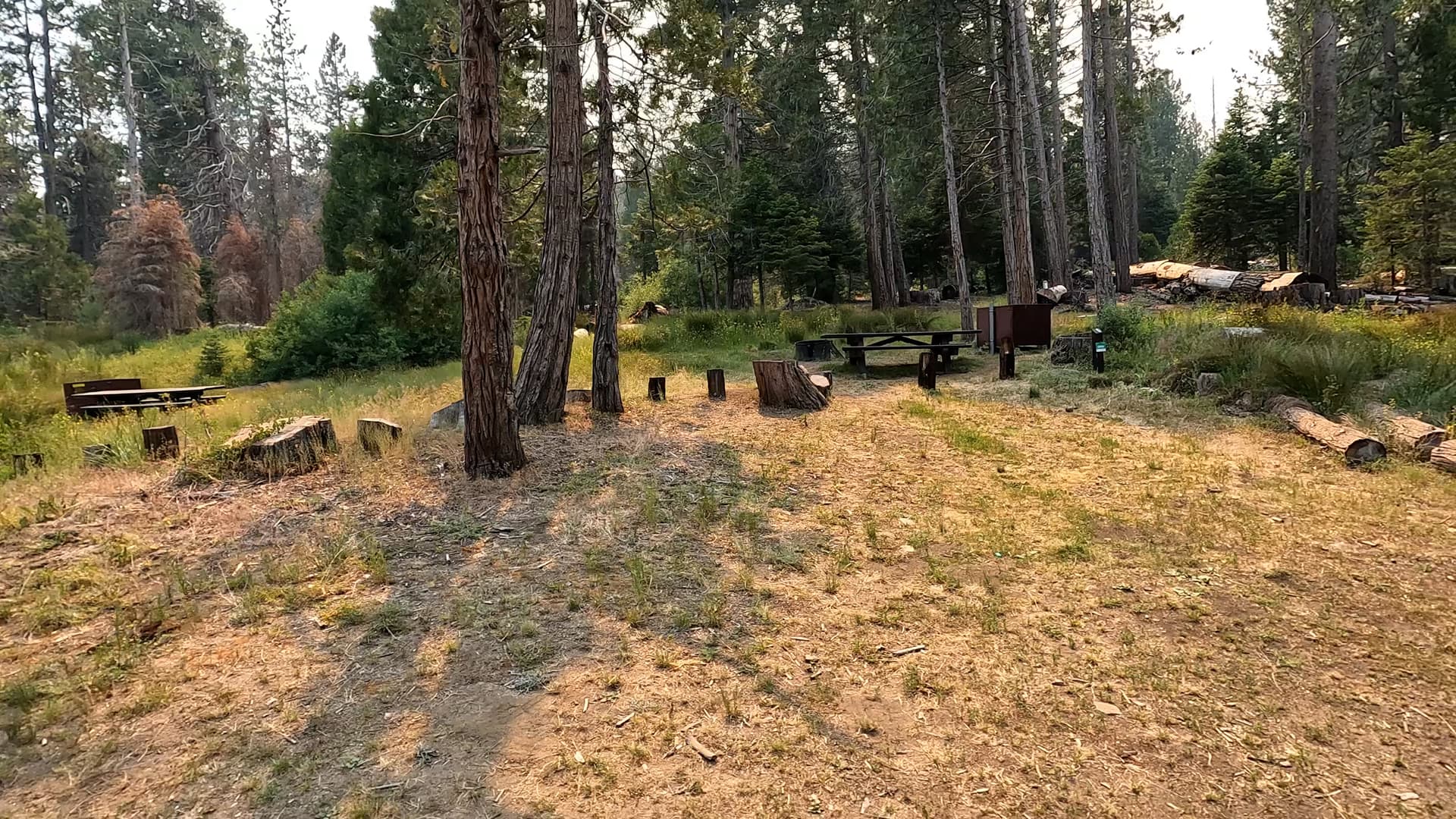 Site 8