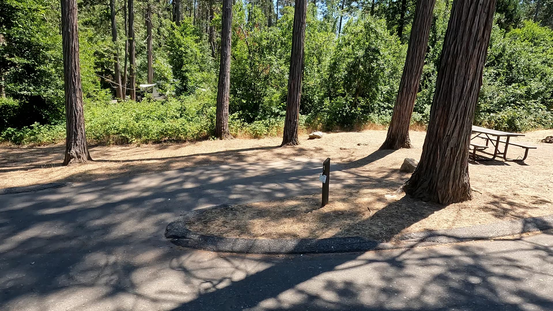 Site 1