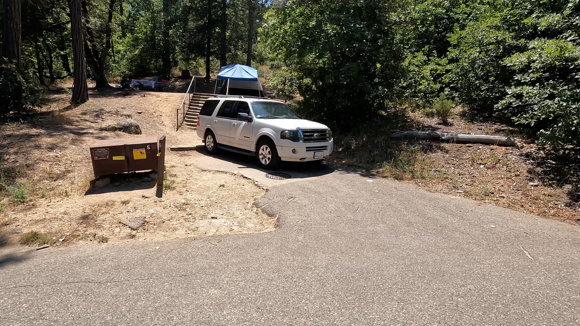 Site 5