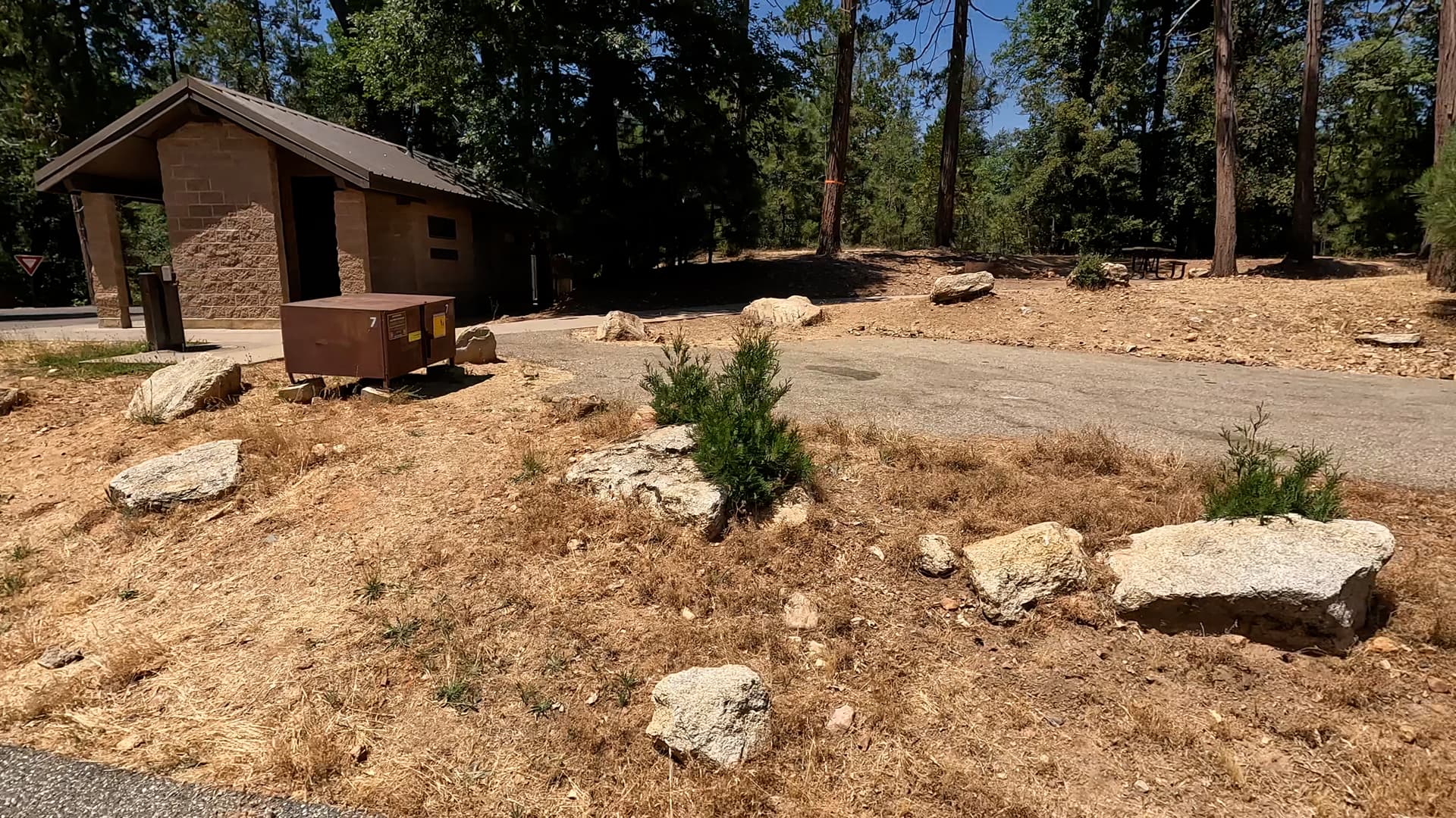 Site 7