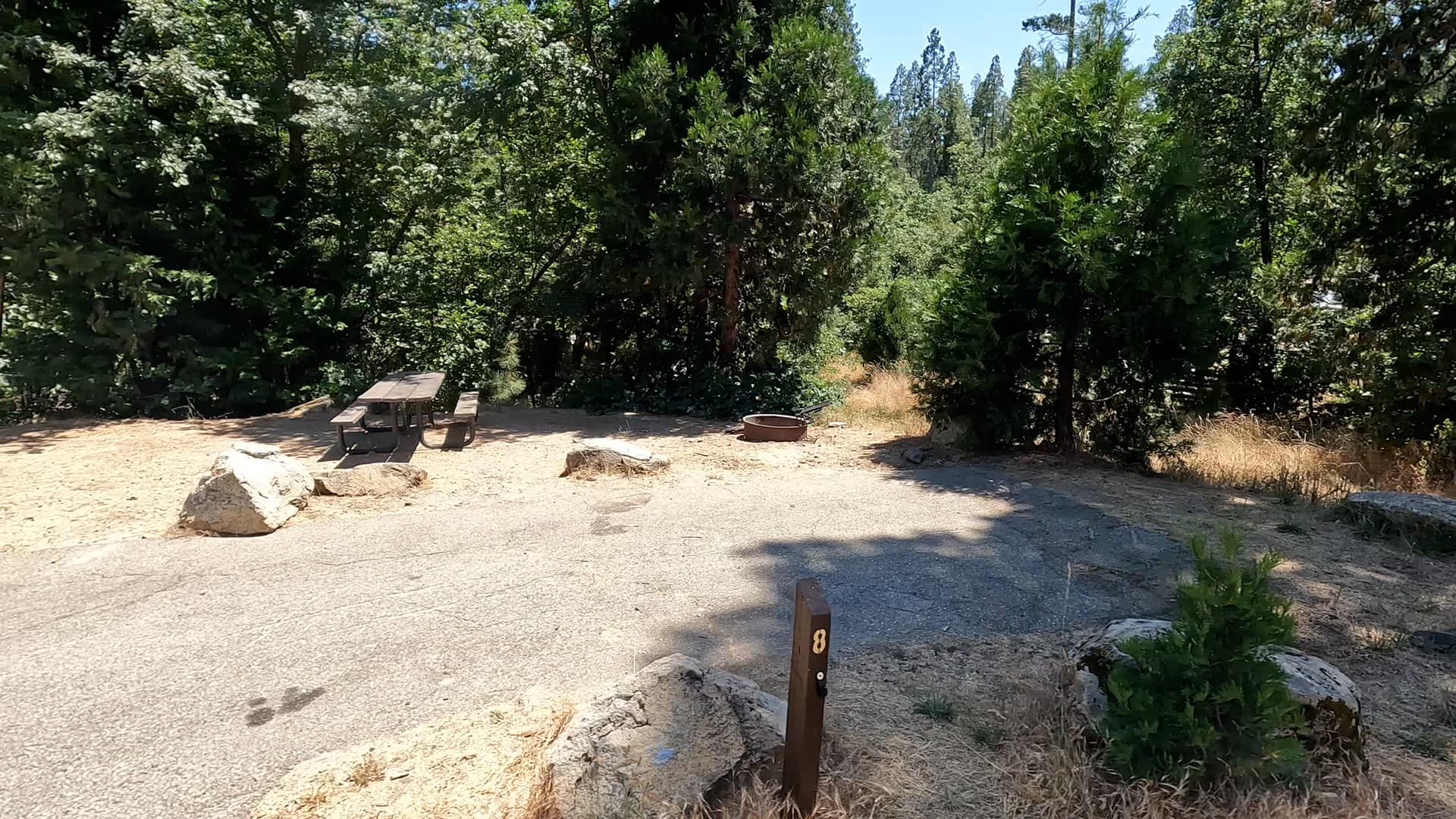 Site 8
