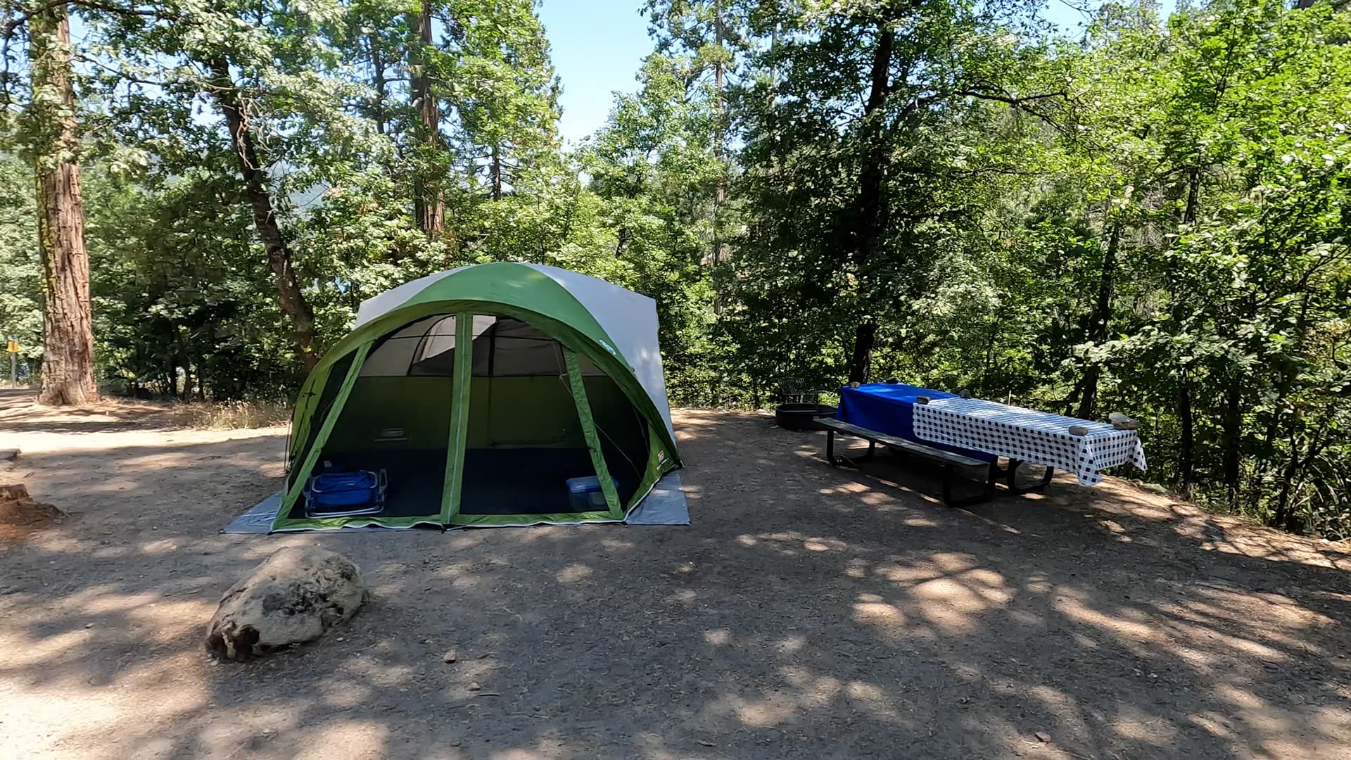 Site 12