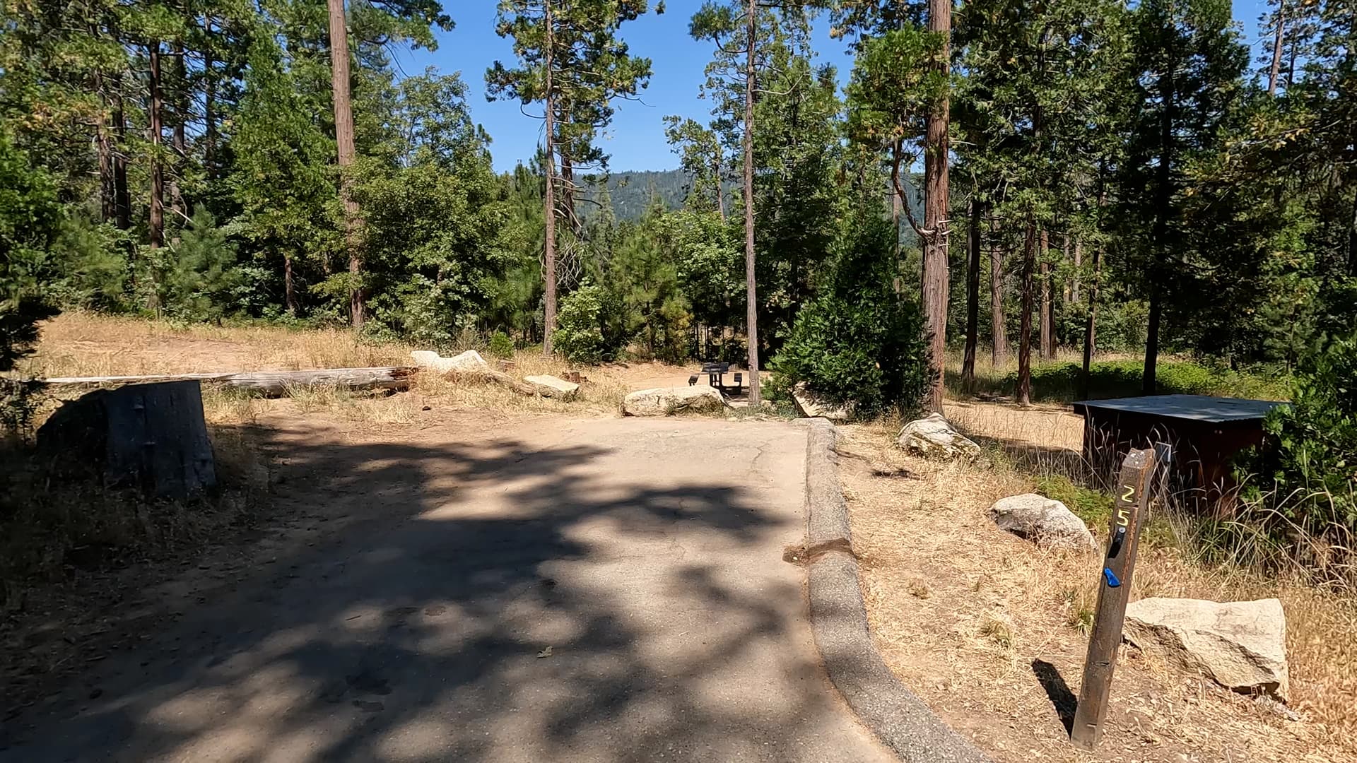 Site 25