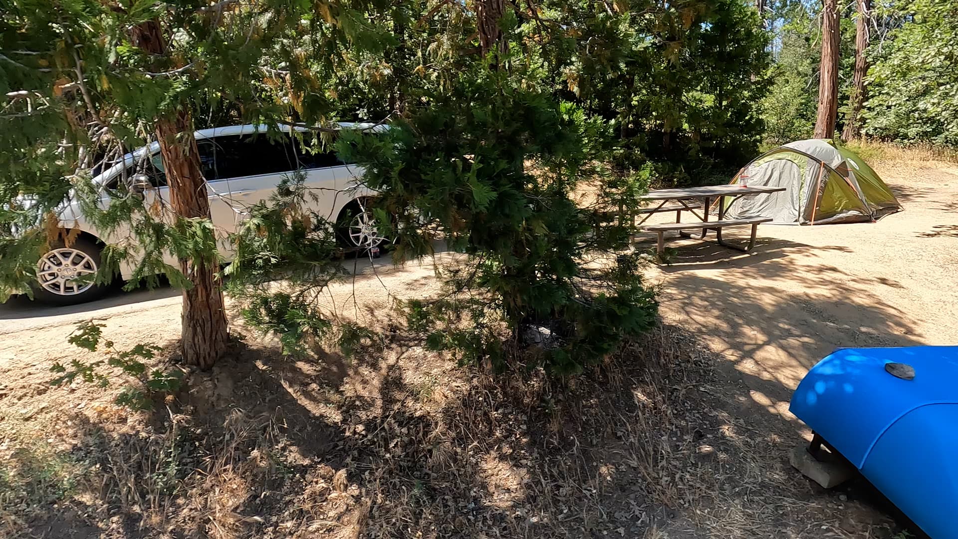 Site 29
