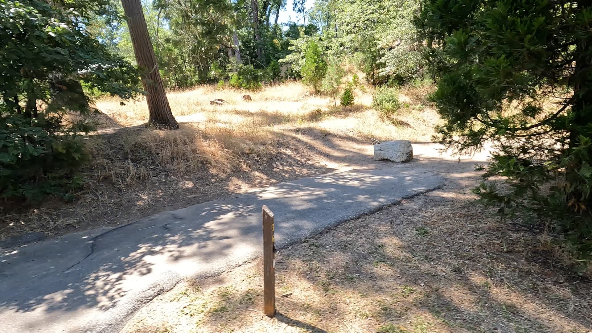 Site 36