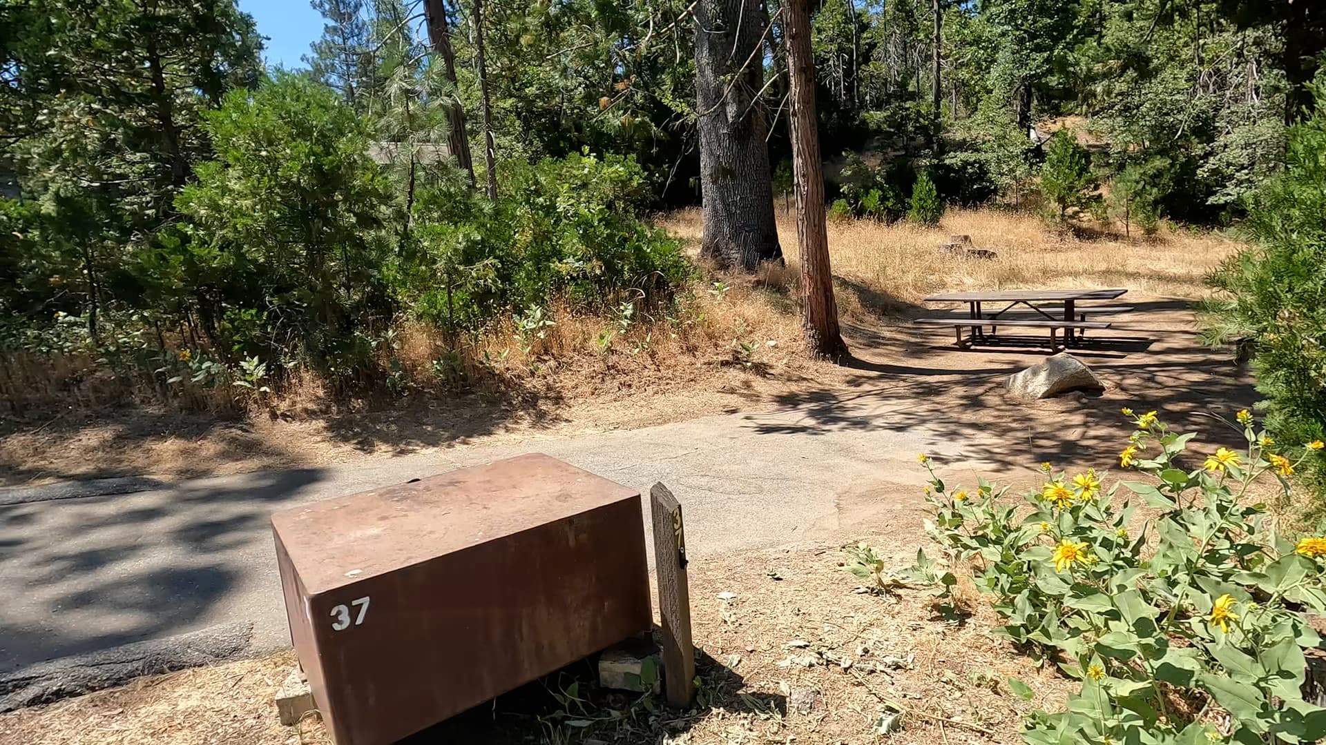 Site 37