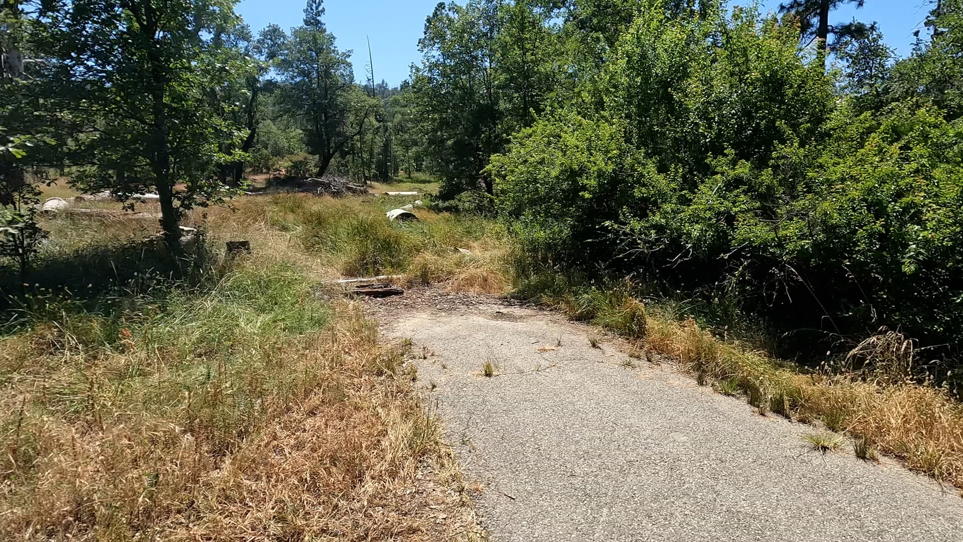 Site 43