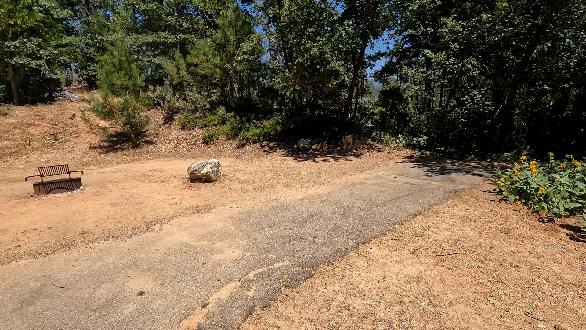 Site 42