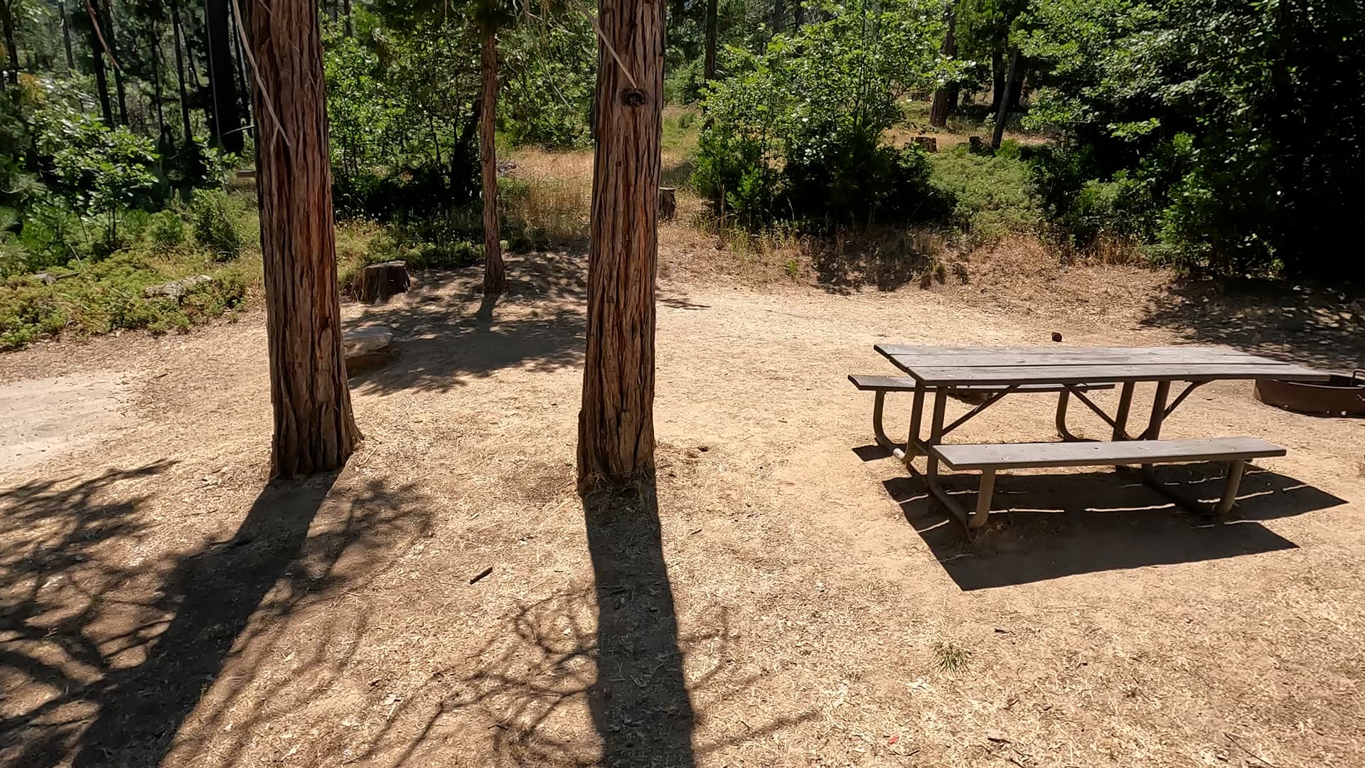 Site 40