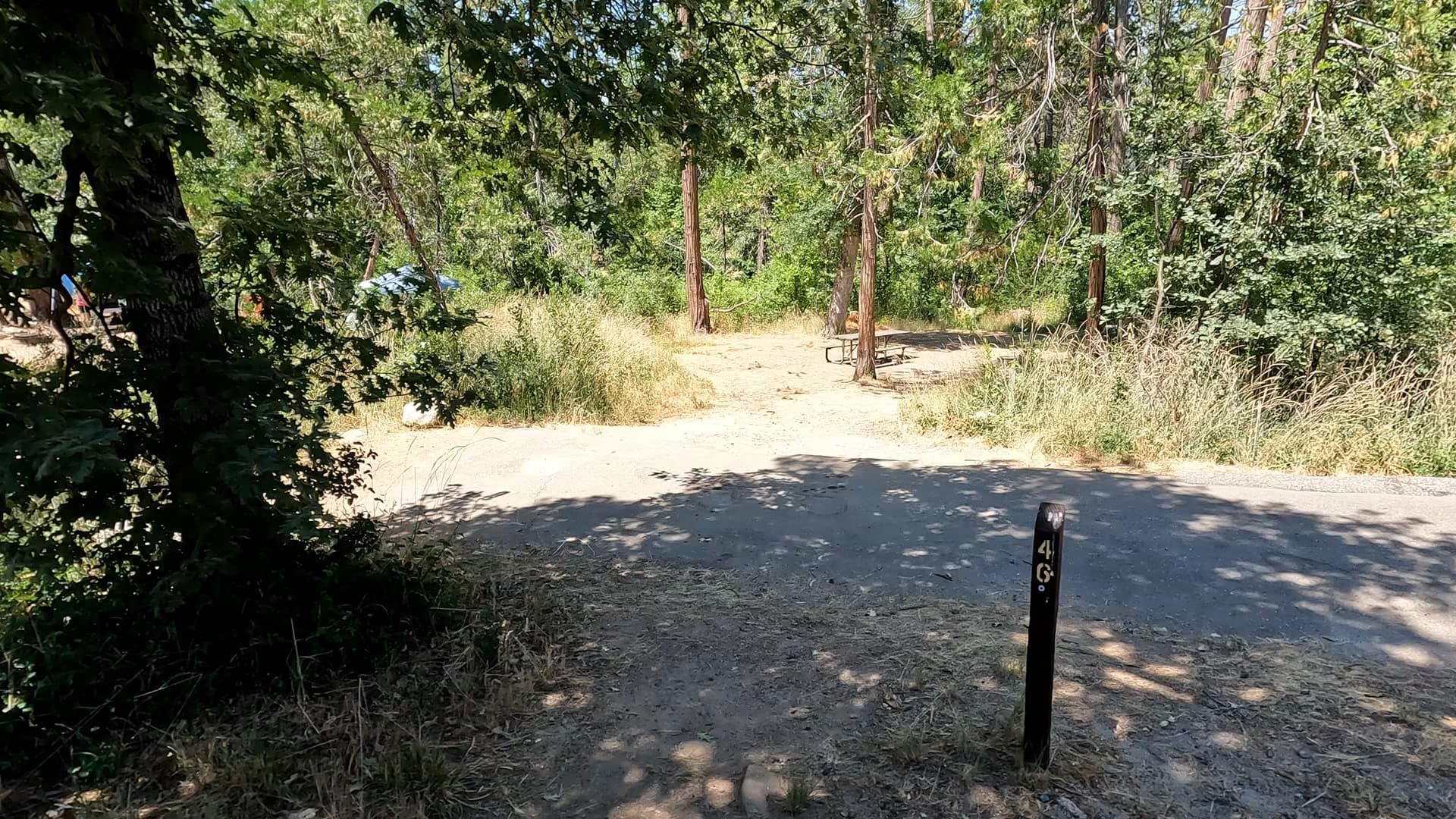 Site 46