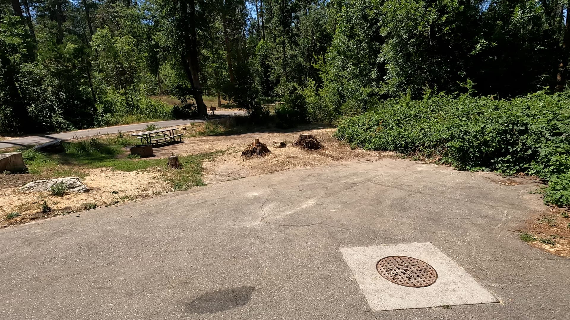Site 53
