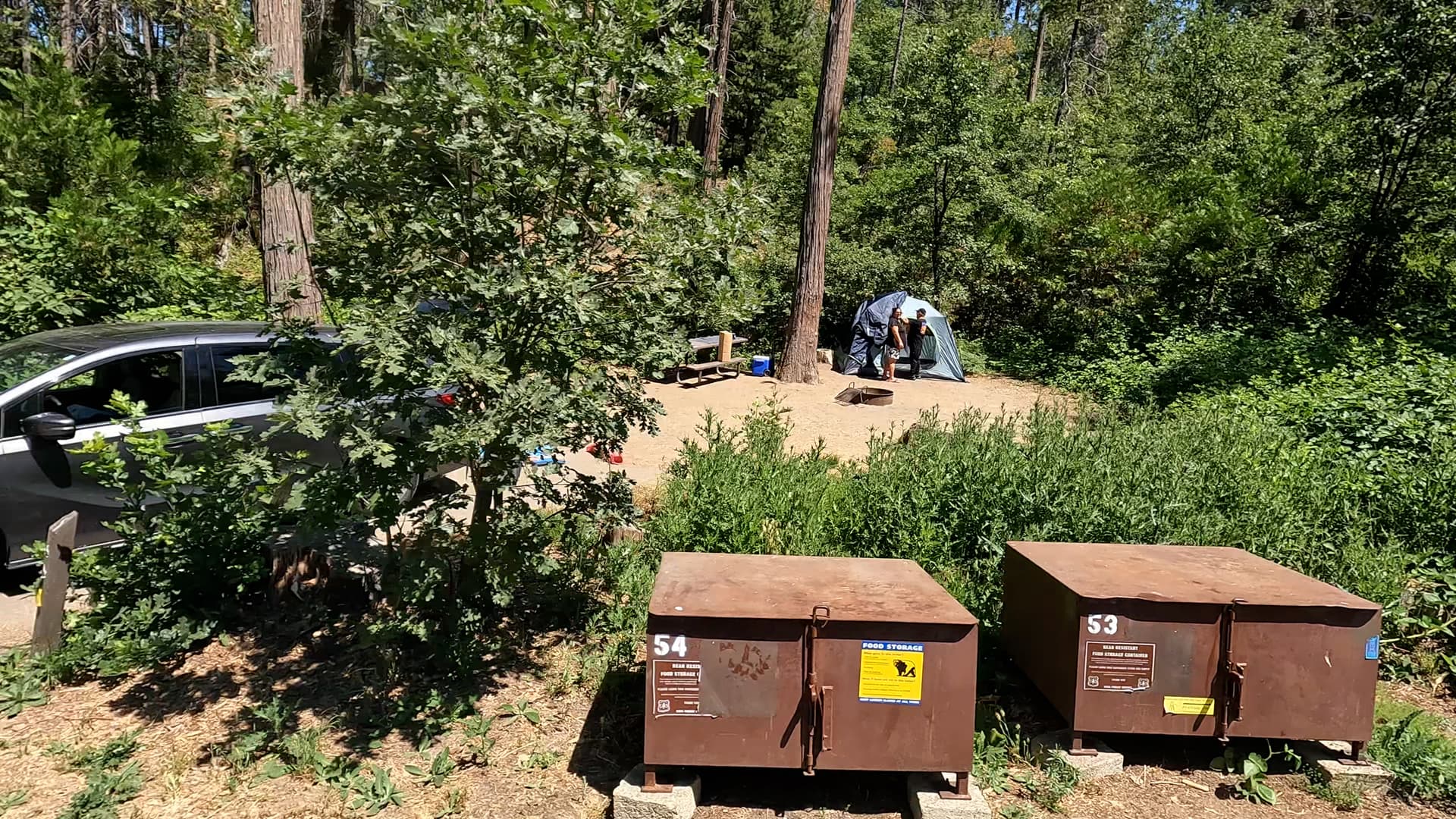 Site 54