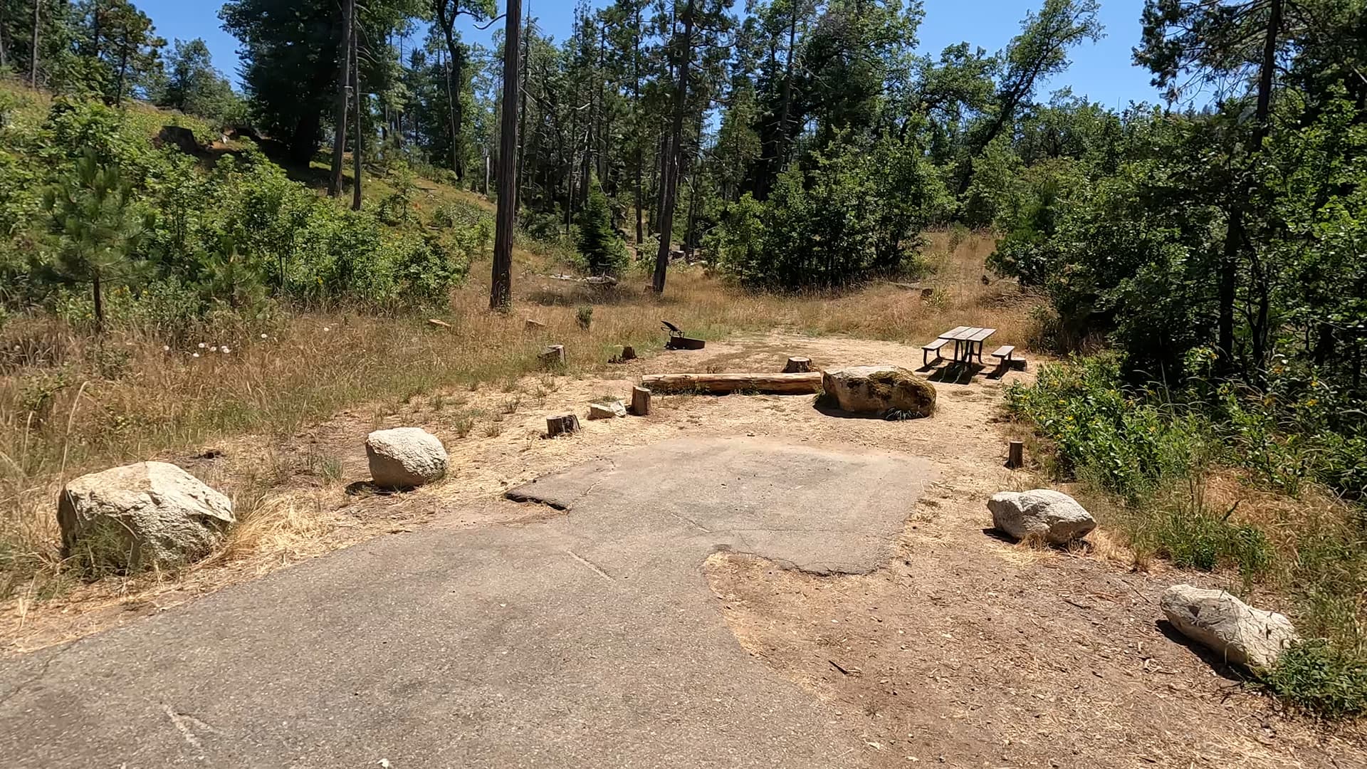 Site 45