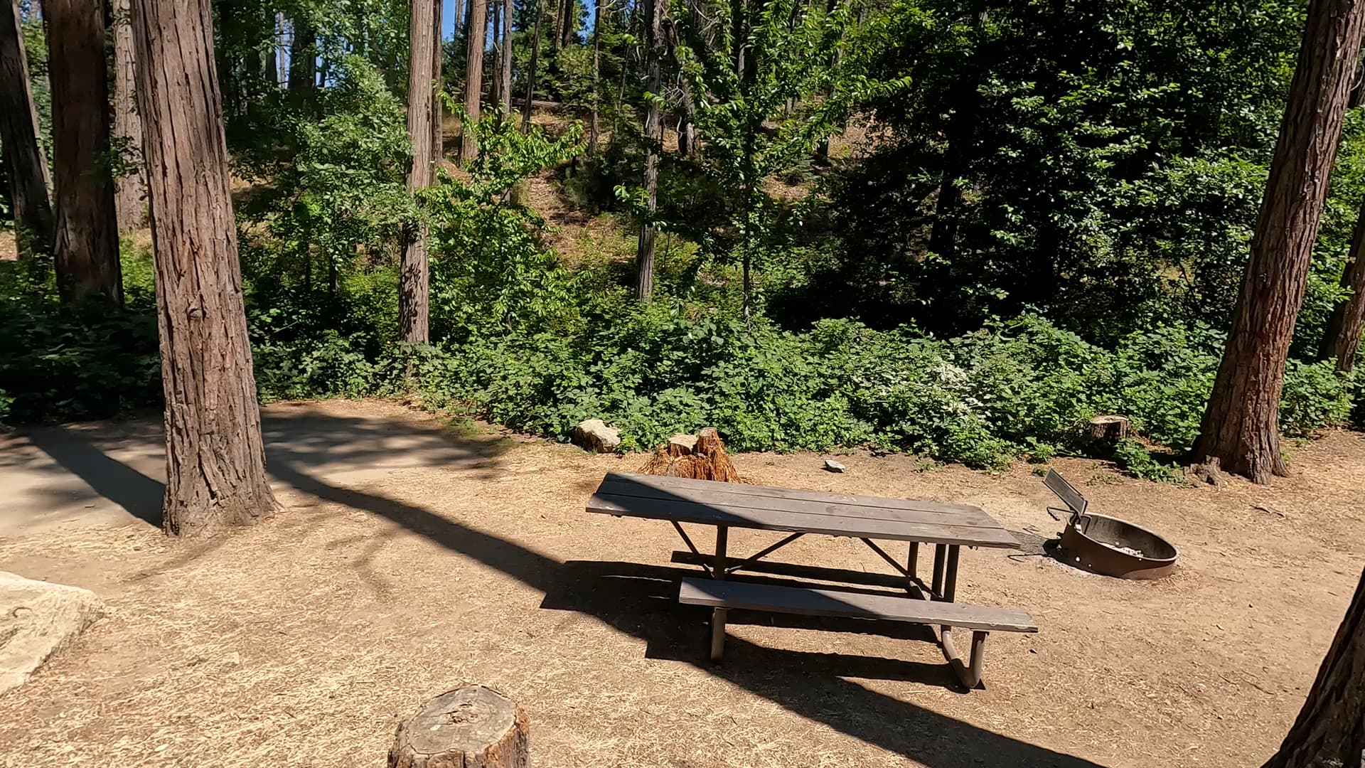 Site 55