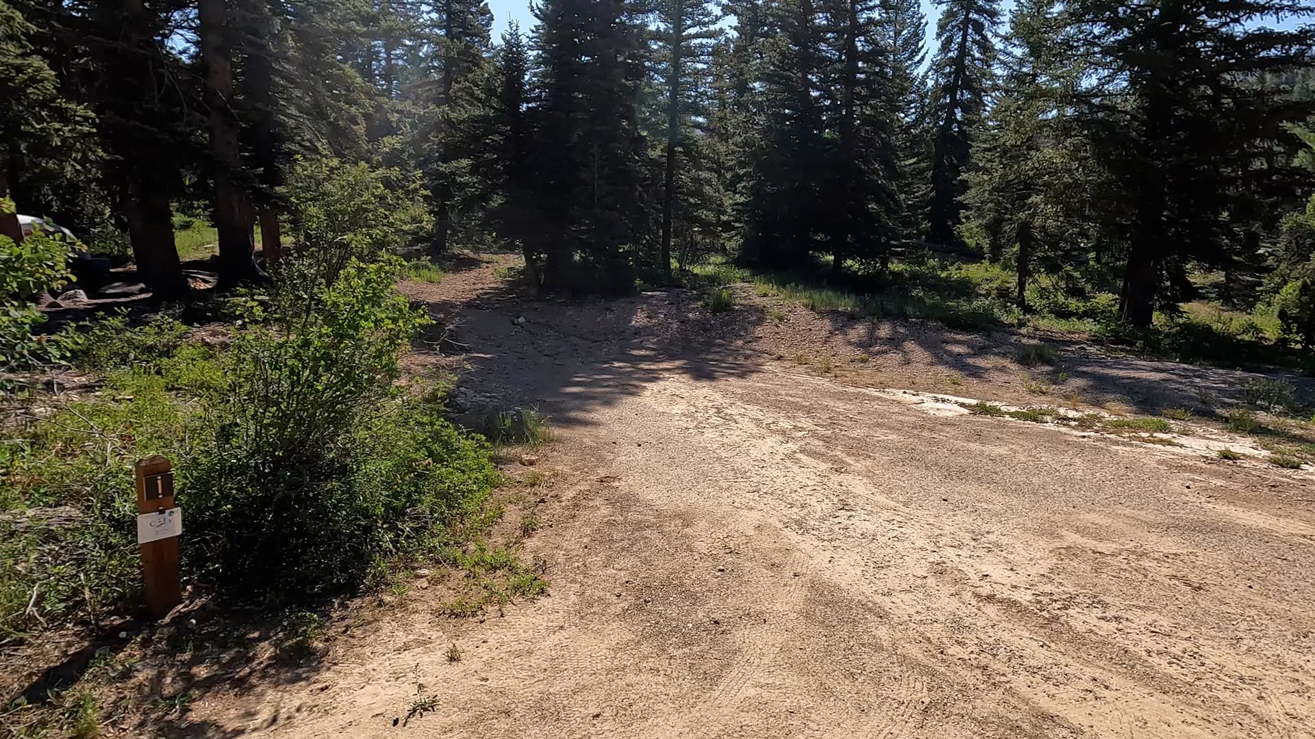 Site 1