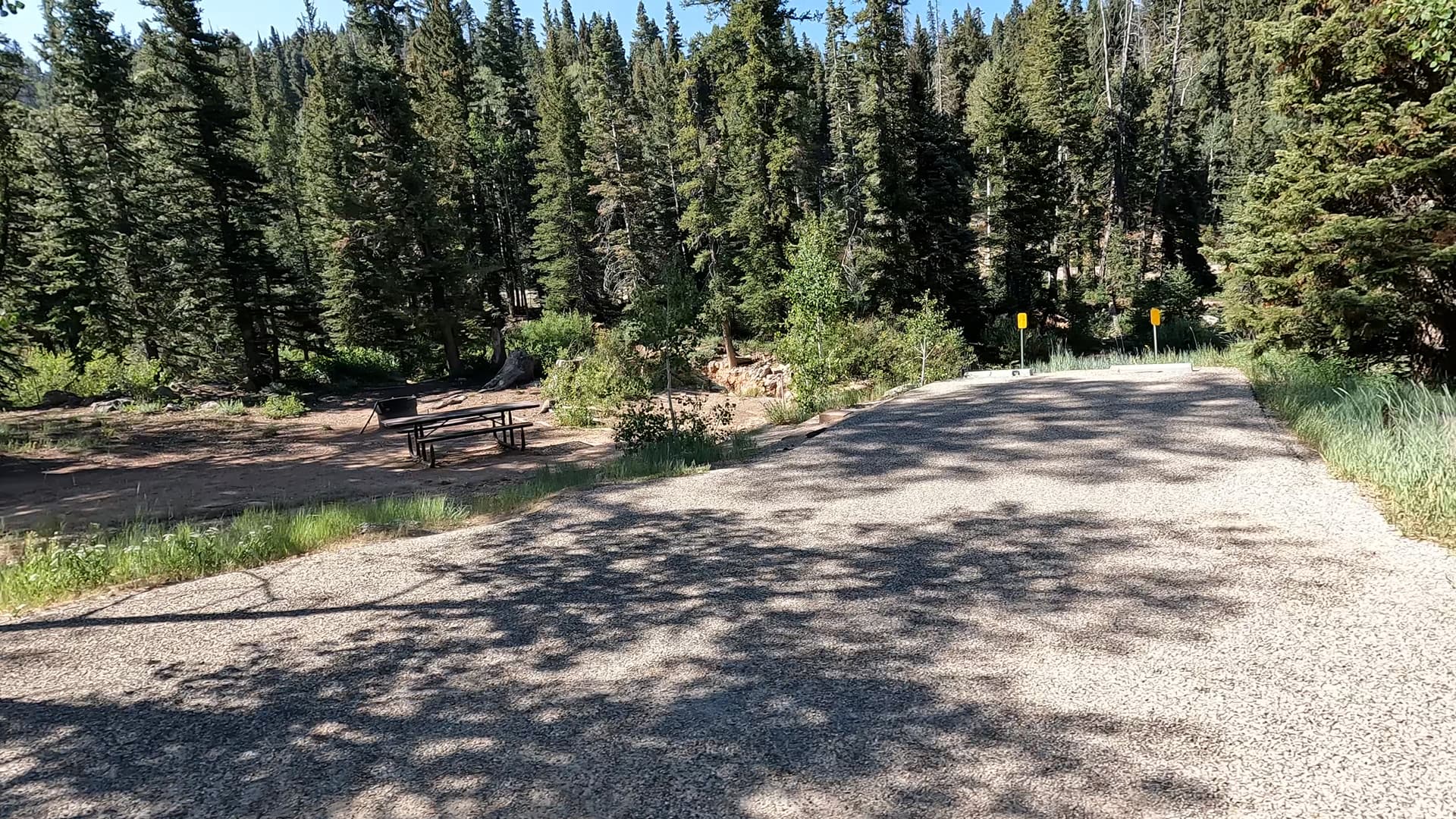 Site 4