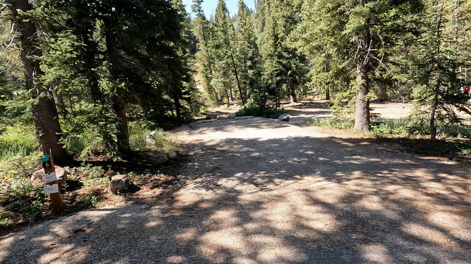 Site 6