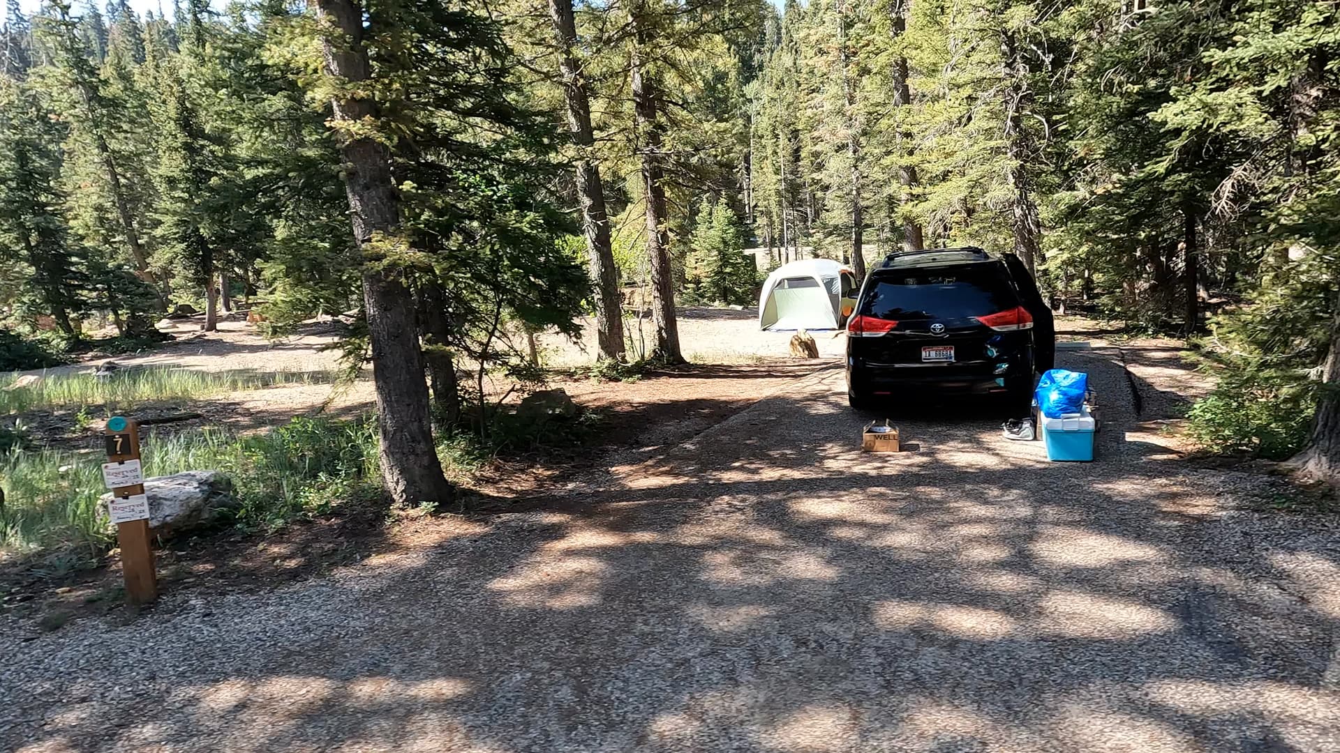 Site 7