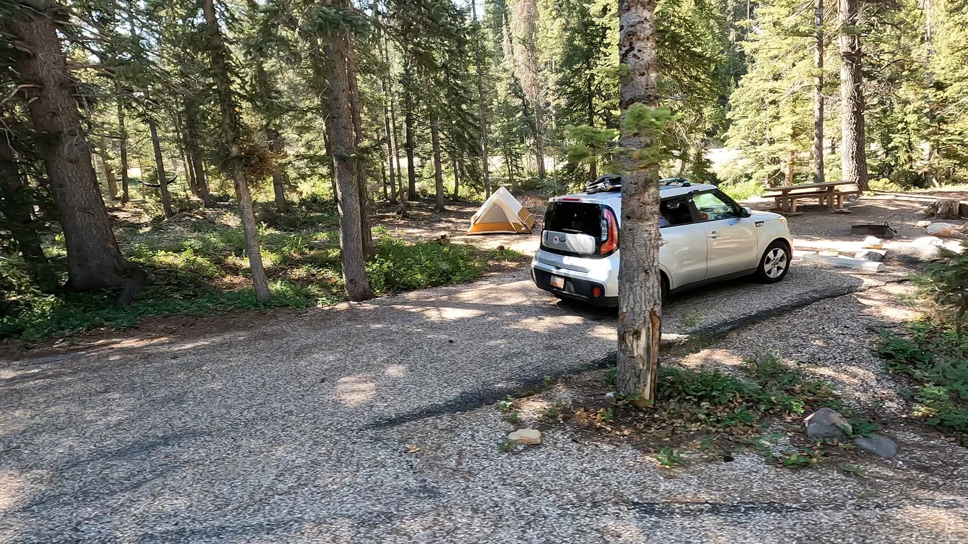 Site 8