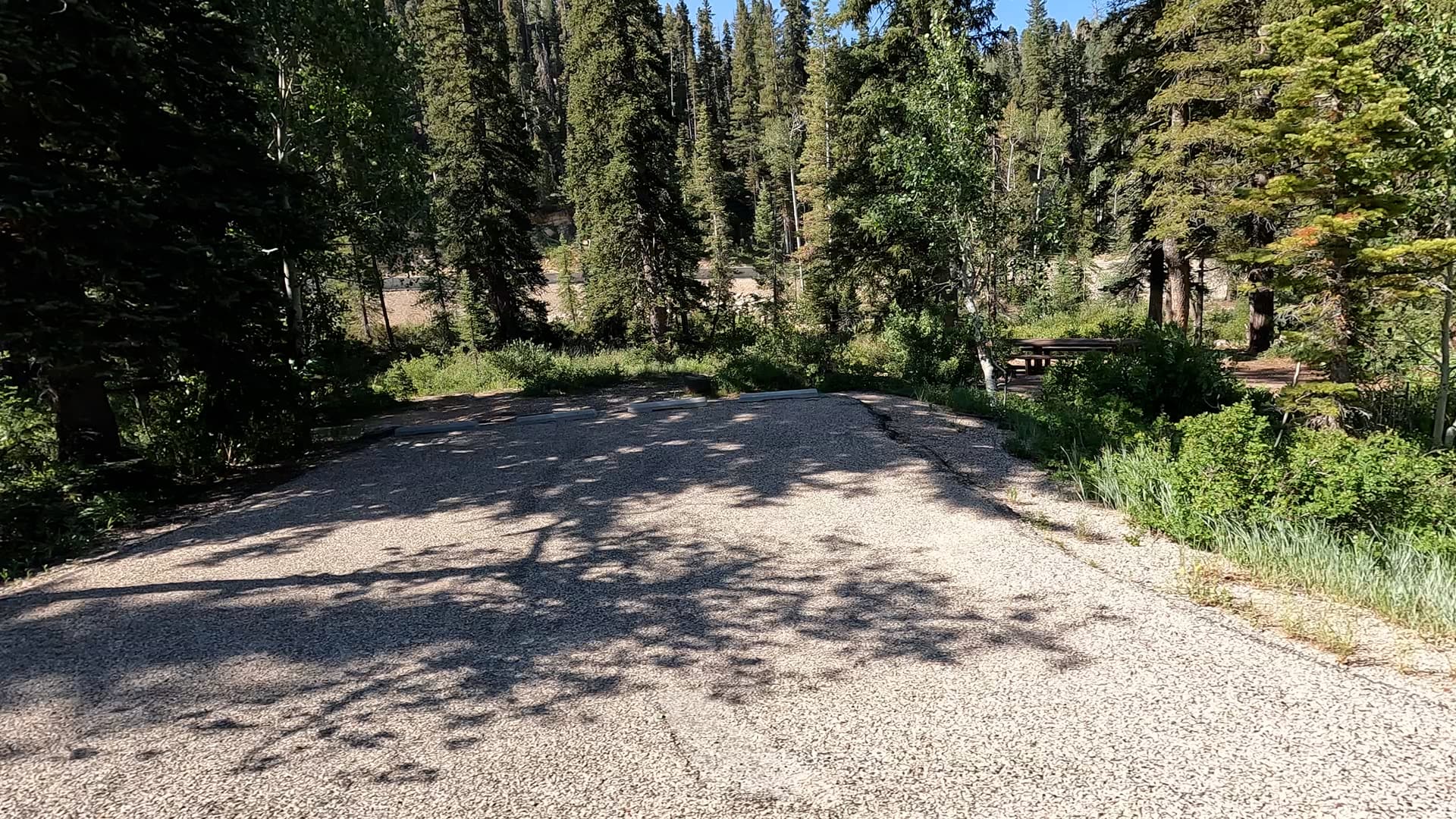 Site 12