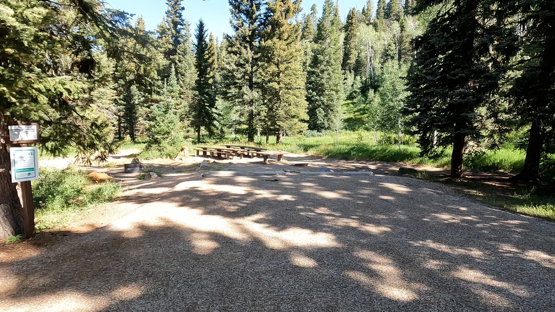 Site 19