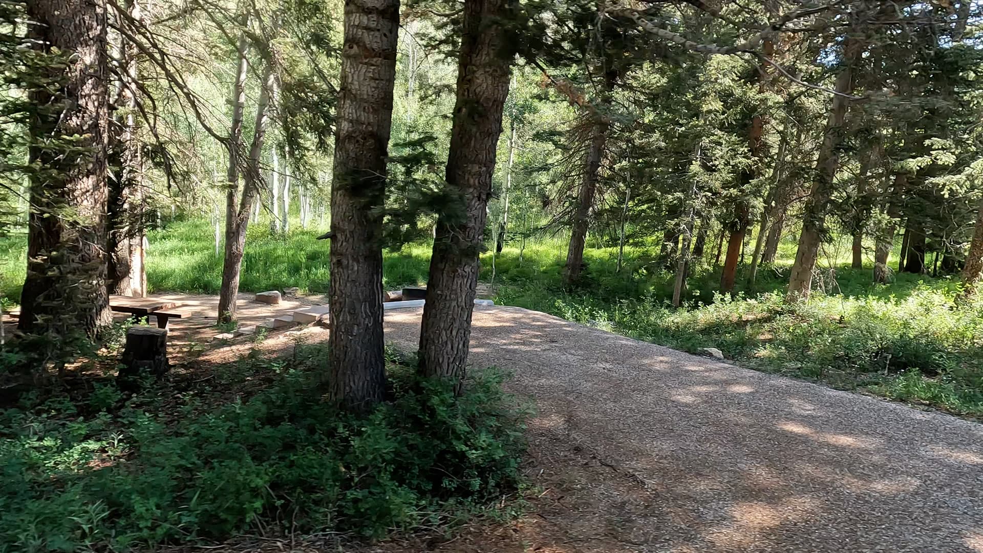 Site 17